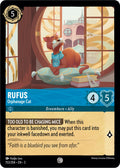 Rufus - Orphanage Cat